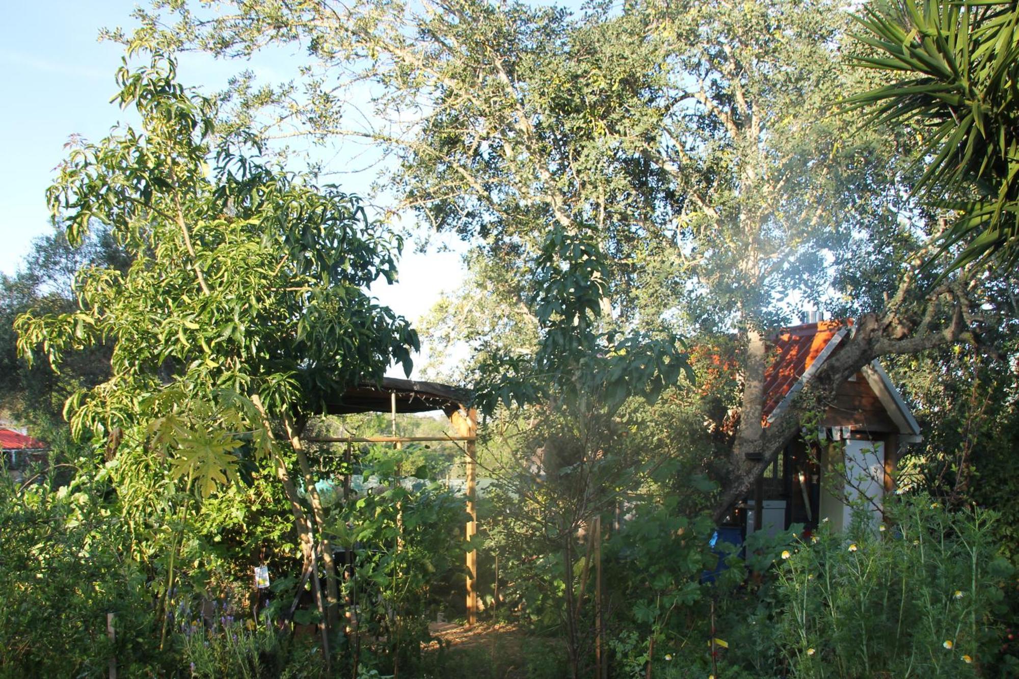Tiny House Eco Resort Estevais Kültér fotó